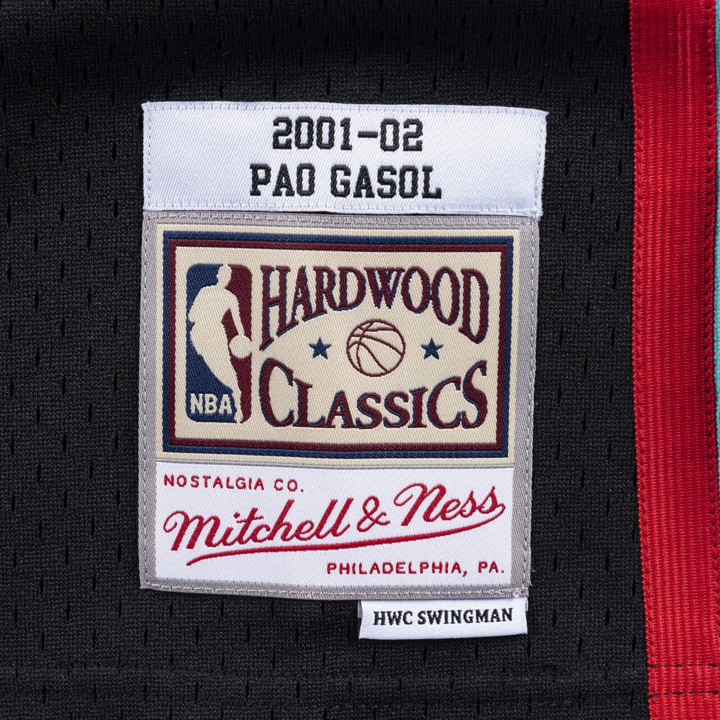 Pau Gasol Memphis Grizzlies 2001-02 Swingman Jersey